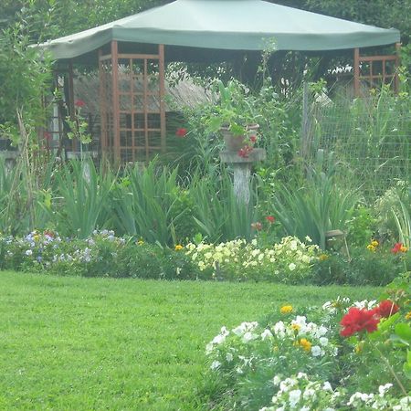 Farm Stay Lackovic Bilje ภายนอก รูปภาพ