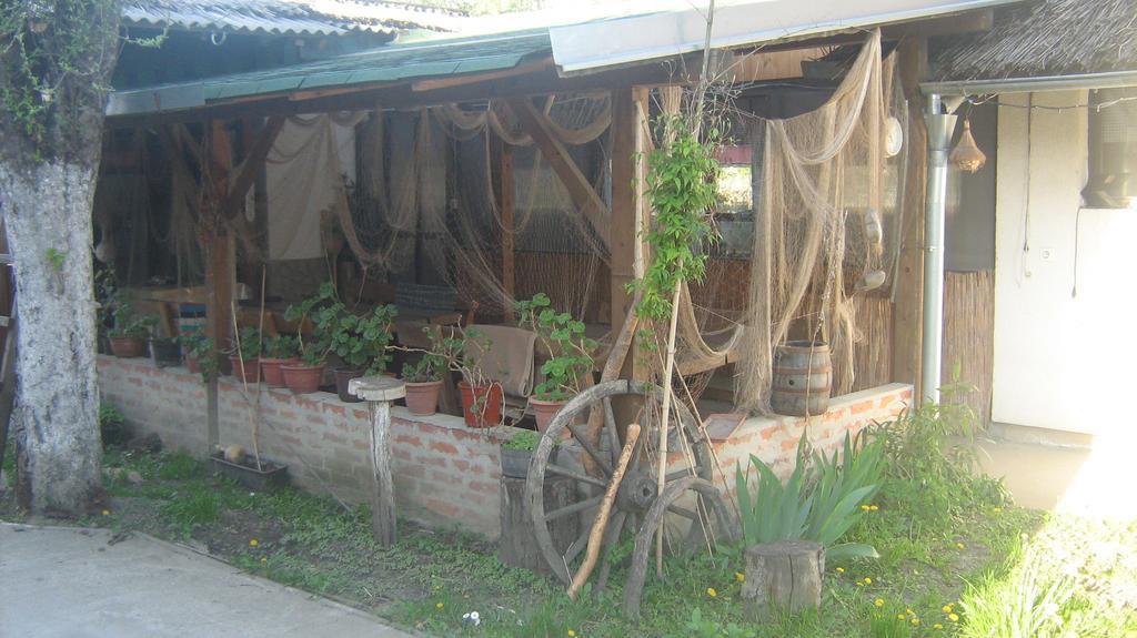 Farm Stay Lackovic Bilje ภายนอก รูปภาพ