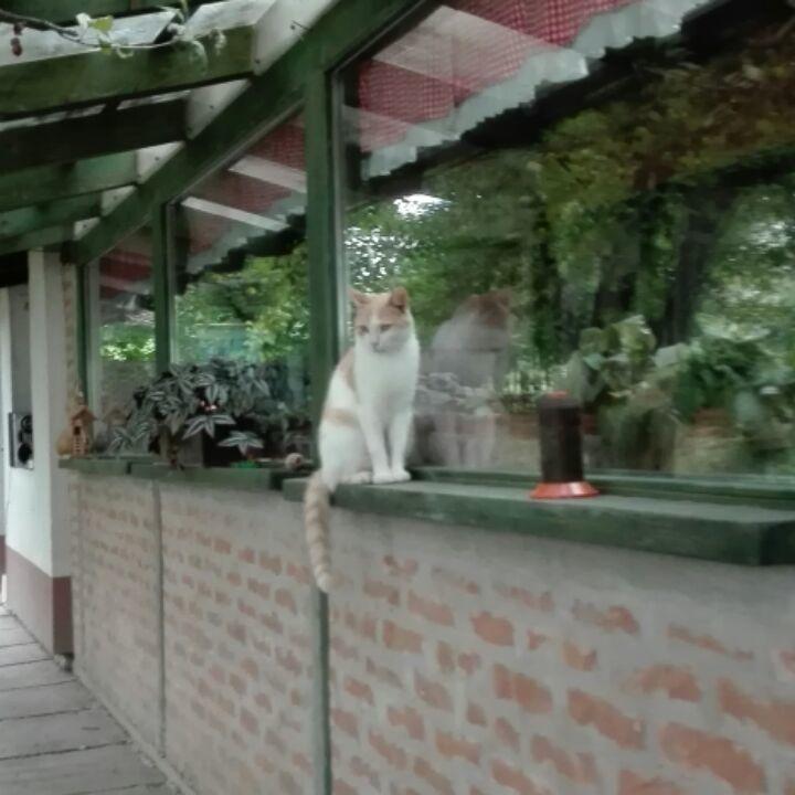 Farm Stay Lackovic Bilje ภายนอก รูปภาพ