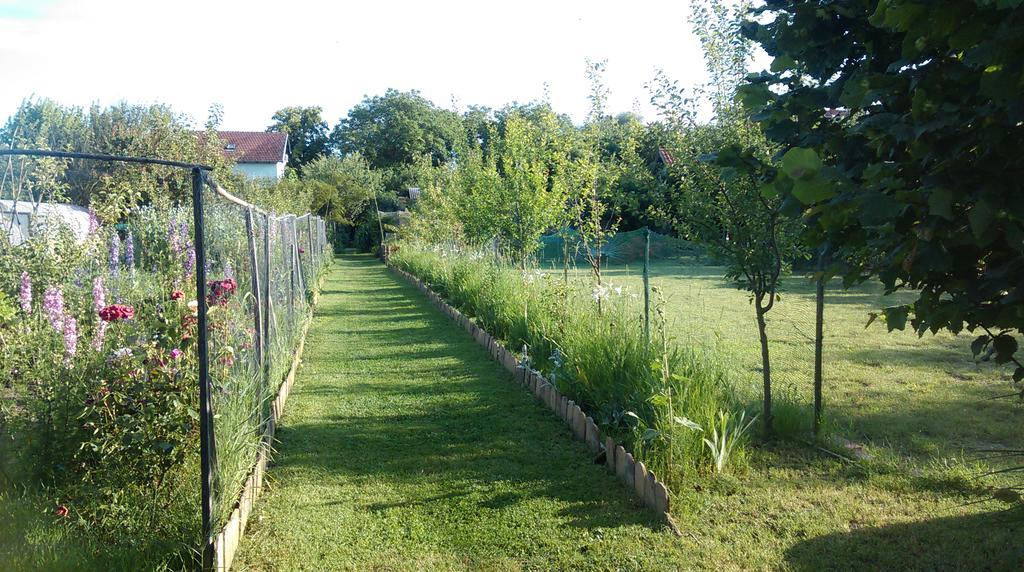 Farm Stay Lackovic Bilje ภายนอก รูปภาพ