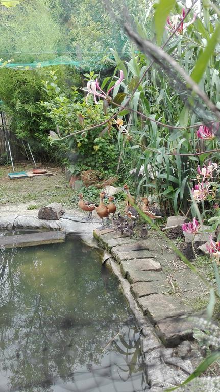 Farm Stay Lackovic Bilje ภายนอก รูปภาพ