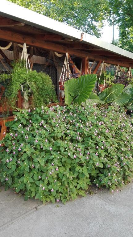 Farm Stay Lackovic Bilje ภายนอก รูปภาพ